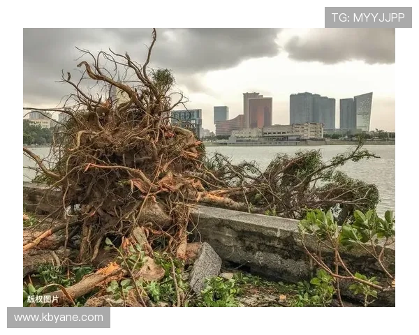 体仲裁批准马来西亚归化禁赛缓行